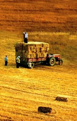 Türk tarımı dünyaya açılıyor