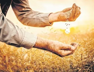 Tahıl ve meyvede üretim artacak