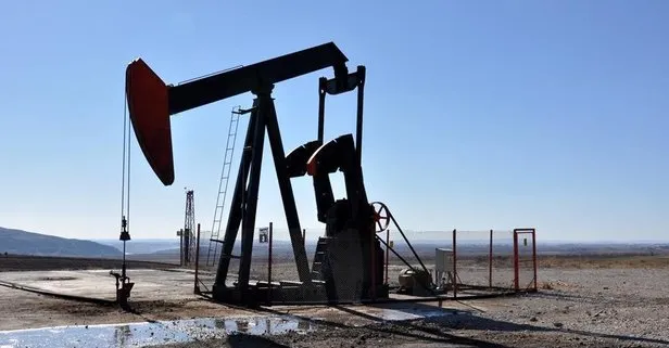 TPAO Türkiye Petrolleri Anonim Ortaklığı: İlk 7 ayda 30 milyon varil petrol eşdeğeri rezerv Türkiye’ye kazandırıldı