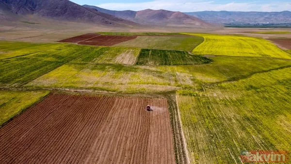 Milli Emlak Arsa Satışı Nasıl Yapılıyor? Milli Emlak Tarafından Satışa Sunulan Arsa Ve Tarlalar, İhale Usulüyle Alıcılarını Buluyor. Satın Alma İşlemi İçin...