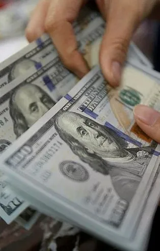 Yine mi "Brütüsler" devrede? Yurt dışına yüklü miktarda para çıkışı! BDDK ve MASAK enselerinde