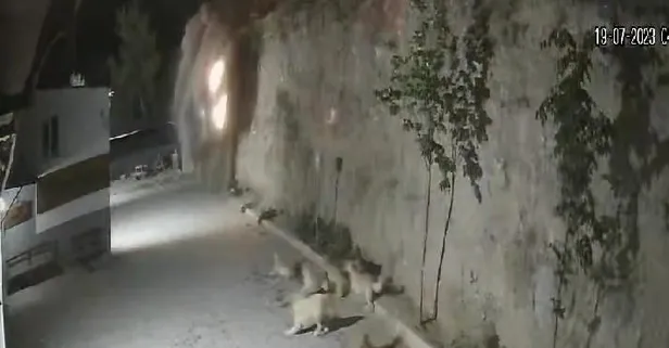 Denizli'de feci kaza! 2 kişiye mezar olan otomobil uçurumdan düştü