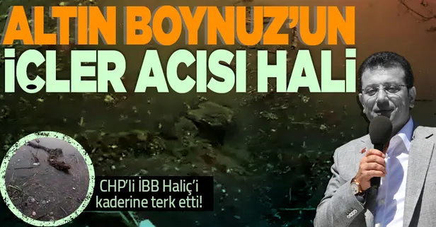 CHP'li İBB Haliç'i kaderine terk etti! İşte Altın Boynuz'un içler acısı hali