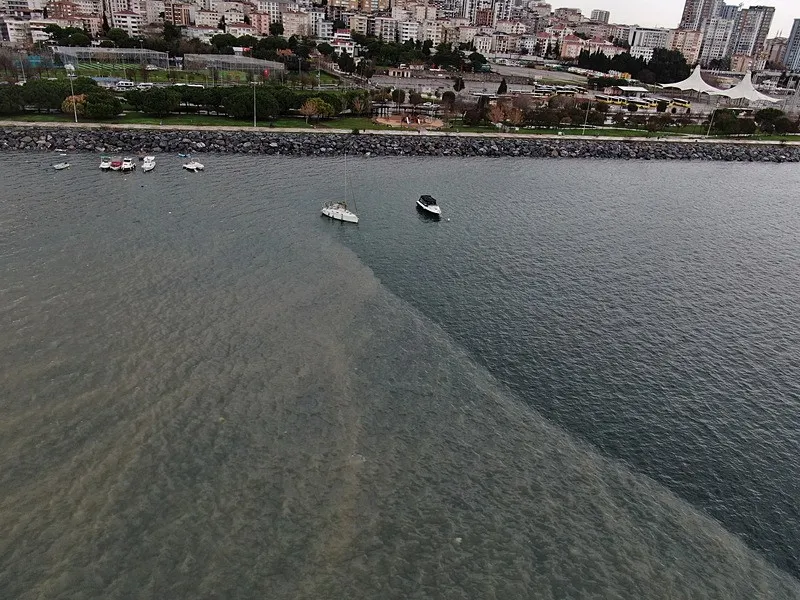 Pendik sahilinde çevre felaketi: Deniz kirli koku yoğun-4