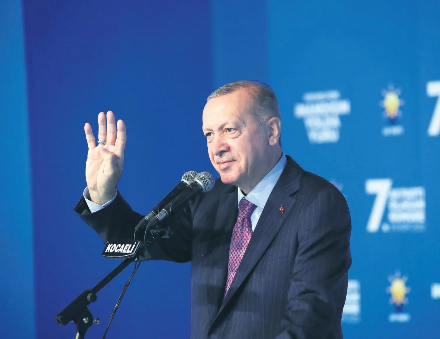 Tam bağımsız savunma