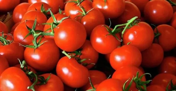 Kasalarca domatesi çöpe döken market için Ticaret Bakanlığı harekete geçti!