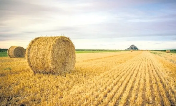 Ve sonunda netleşti! Sisteme katılanlara 600 TL verilecek: Resmen açıklandı! 5 yıl boyunca...-3