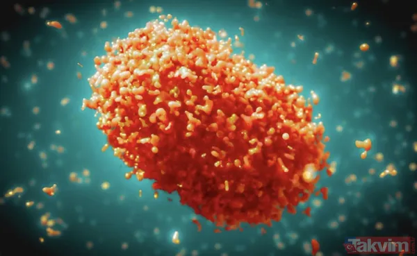 Ankara’da maymun çiçeği karantinası mı var? Sağlık Bakanlığı iddiayı yalanladı - 1