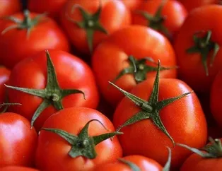 Rüyada domates görmek ne anlama gelir? Rüyada domates bahçesi görmek hayırlı mıdır? Rüyada domates yemek neye işarettir?