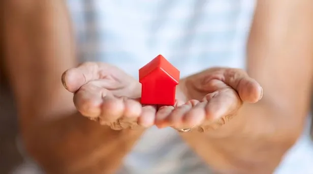 💵 Mirasın kim, ne kadarını alabiliyor? Miras devlete nasıl geçiyor, paylaşımı nasıl yapılır? Size de miras kalmış olabilir!-13