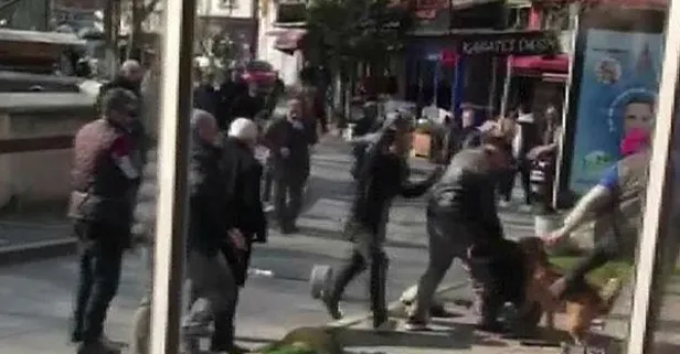 Beyoğlu'ndan 3 kişiyi yaralayan pitbullun sahibi "silahla yaralama" suçundan tutuklandı!