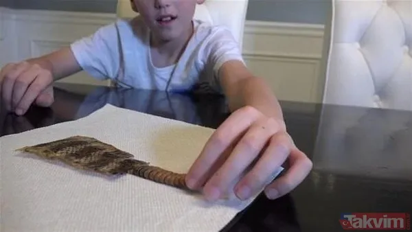 Çıngıraklı yılanın kuyruğundan çıkanlar görenleri şoke etti! Sonrasında ise... - 13