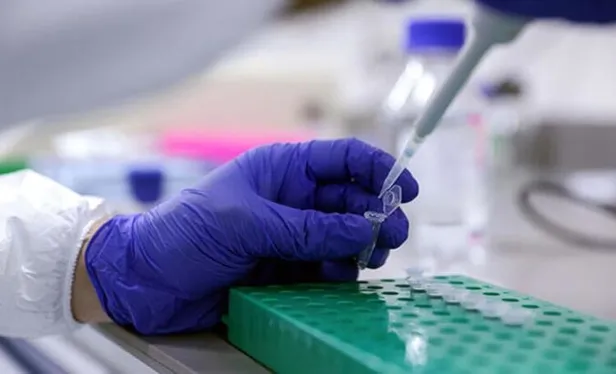 THY ve Pegasus uçaklarında PCR testi zorunluluğu kaldırıldı mı yoksa devam ediyor mu? Uçuşlarda PCR testi kalktı mı?-3