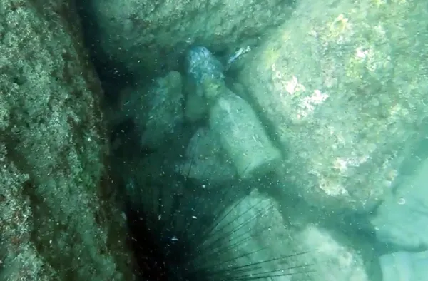 1641134445285.jpg Antalya'da denizin dibinde bulundu! Profesör sosyal medya hesabından bu notla paylaştı: Bu büyü mü?-5