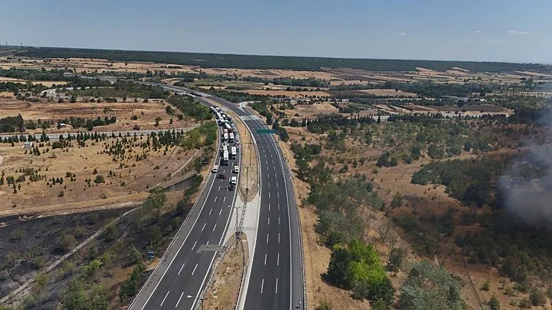Kırklareli'nde ağaçlık alanda çıkan yangın (AA)