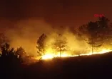 Ankara’da orman yangınına müdahale sürüyor