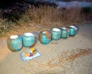 300 kiloluk hainlik...