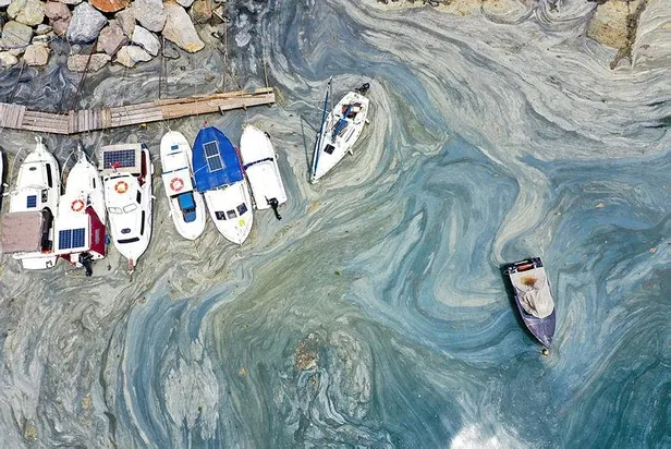 Deniz salyası için bilim kurulu oluşturuldu! Başkanlık görevi Prof. Dr. Hasan Mandal’a verildi