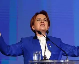 FETÖ Meral Akşeneri neden destekledi?