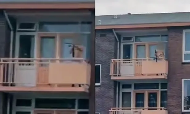 Son dakika: Hollanda'da oklu saldırı dehşeti! Evinin balkonunda hedef alıp 'Tatar Yayı' ile 2 kişiyi öldürdü 1 kişiyi yaraladı-4