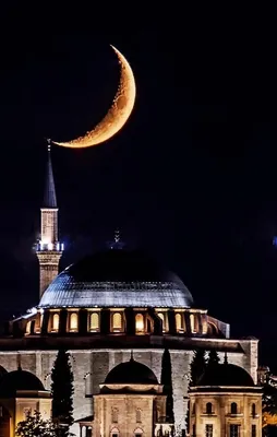 Camilerimizi daha önce böyle görmediniz