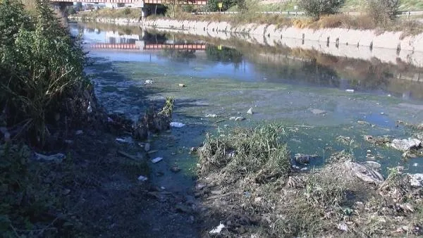 Son dakika: İstanbul Yeşilköy'de vatandaşı isyan ettiren görüntü: Dere çöp ve pislikle kaplandı-4