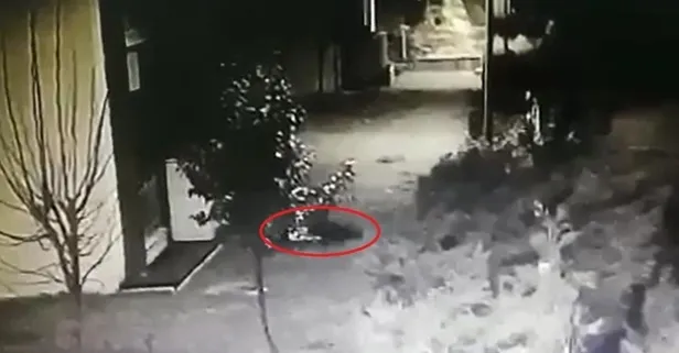 Türkiye’nin konuştuğu olay: Sedefnur’un balkondan düştüğü an kamerada