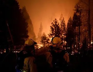 ABD’nin yangınlarda ölü sayısı 15’e yükseldi