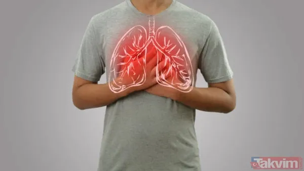 Doğal Bir Antibiyotik Etkisi 🔹Bal, Yüzyıllardır Boğaz Ağrısı Ve Öksürüğe Karşı Doğal Bir Tedavi Yöntemi Olarak Biliniyor. Antimikrobiyal Ve Anti-İnflamatuar...