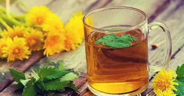 Şifa dolu melisa çayı! İşte günde 2 fincandan fazla tüketilmemesi gereken çayın faydaları