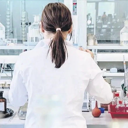 Hayvansız et yaptılar