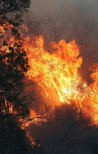 Avustralya'da korkunç tablo! Yangınların 34 ay daha kontrol altına alınamayacağı açıklandı