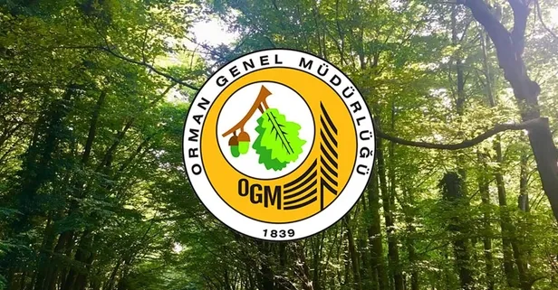 Orman Genel Müdürlüğü 1500 orman muhafaza memuru alımı yapacak