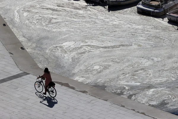 son-dakika-marmara-denizi-musilajla-deniz-salyasi-kaplandi-uzmanlar-uyardi-midye-yemeyin-felc-kalabilirsiniz-1622882658565.jpg SON DAKİKA: Marmara Denizi müsilajla (deniz salyası) kaplandı! Uzmanlar uyardı: Midye yemeyin felç kalabilirsiniz-18