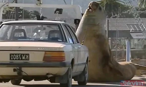 Sadece fotoğraf çektirmek istedi genç kız hayatının şokunu yaşadı! Bir anda üzerine atladı ne var yok... - 14