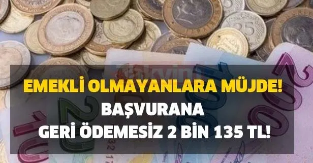 Başvurana geri ödemesiz 2 bin 135 TL!