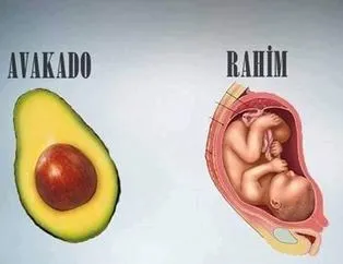 Bitkilerin iyi geldiği organlarla benzerliği
