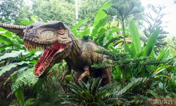 Son akşam yemeği: Bilim insanları yeni bir dinozor türü keşfetti! Meğer tam avını yerken... - 1