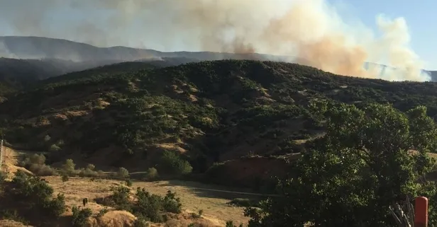 Bingöl’de çıkan orman yangını kontrol altına alındı!