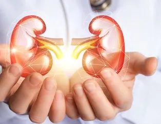 Sağlıksız böbrek uykuları kaçırır Sağlık haberleri