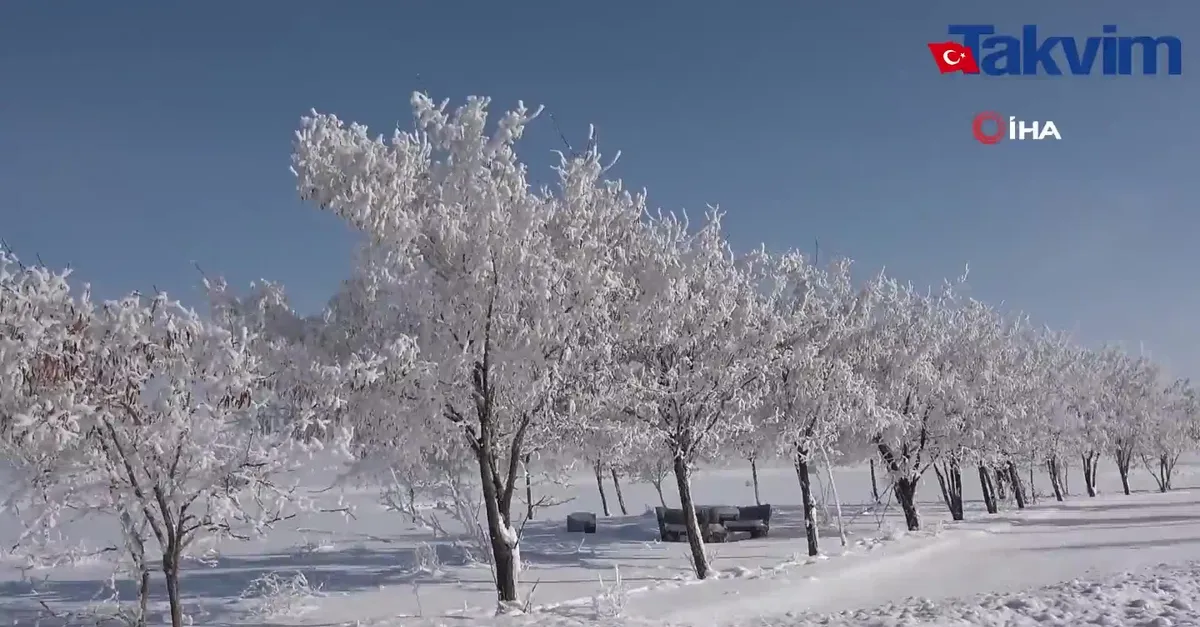 Bitlis'te dondurucu soğuk