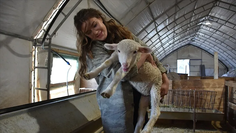 hayvancilik-yapanlara-yuzde-70-ek-destek-baskan-erdogan-acikladi-kdvden-muaf-1715884224117.jpg Hayvancılık yapan vatandaşa müjde! Yüzde 70 ek destek geliyor! Başkan Erdoğan açıkladı! 'KDV'den muaf...'-3