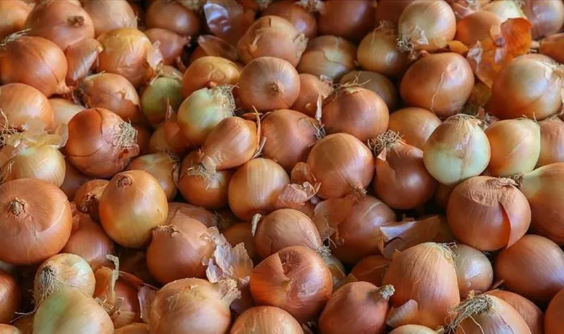 Kulağınıza soğan koyun ve bekletin. Meğer o sorunu anında çözüyormuş-2