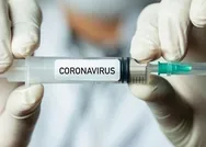 Çin böceklerden koronavirüs aşısı yapacak! Denemeler için onay geldi