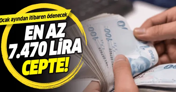 2020 Yili Cocuk Parasi Dogum Yardimi Ve Sut Parasi Ne Kadar Olacak Annelere Kac Lira Odeme Yapilacak Takvim