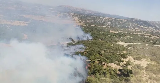 Çanakkale Ezine'deki orman yangını kontrol altına alındı: Soğutma çalışmaları sürüyor
