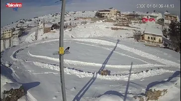 Sivas İmranlı'da Vaşak'ın tavşan avı kamerada!