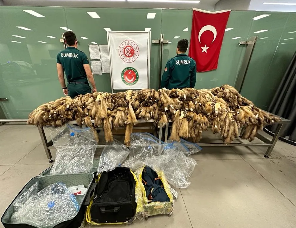 Bin 200 tane ele geçirildi! 1,5 milyon TL değerinde