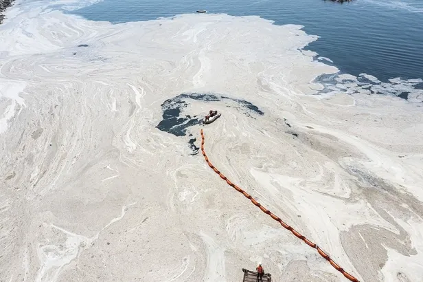 Müsilajla mücadele düzenlemesi yasalaştı: Belediyeler ileri biyolojik atık su arıtma tesisi kuracak-4