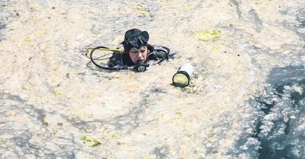 Müsilaja karşı temizlik, hız kesmeden devam etti: Sahildeki müsilaj yoğunluğu yine arttı-1